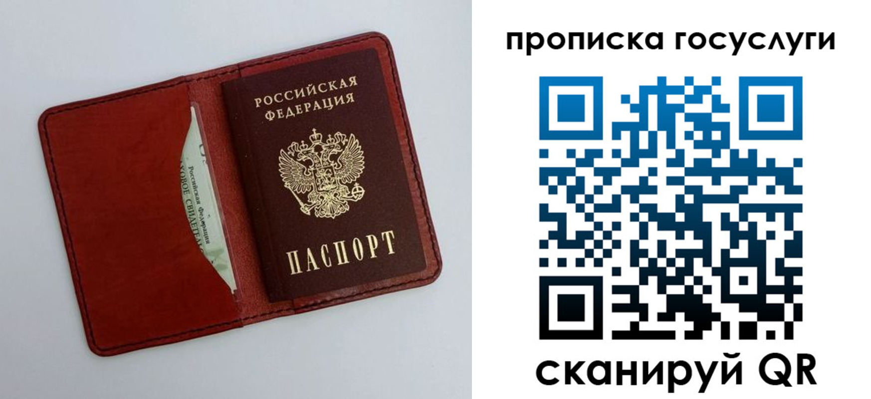 прописка паспорт в Тимашёвске